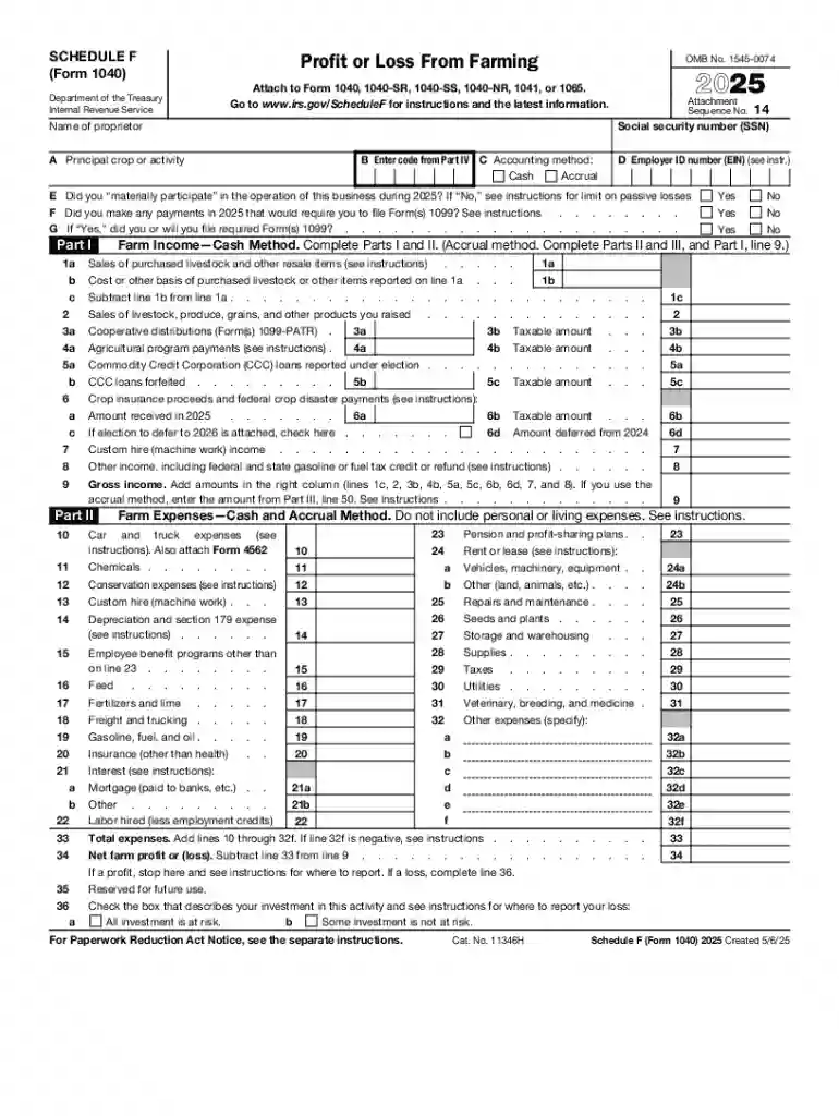IRS Form 1040 Schedule FForm Guide Preview on Page 1
