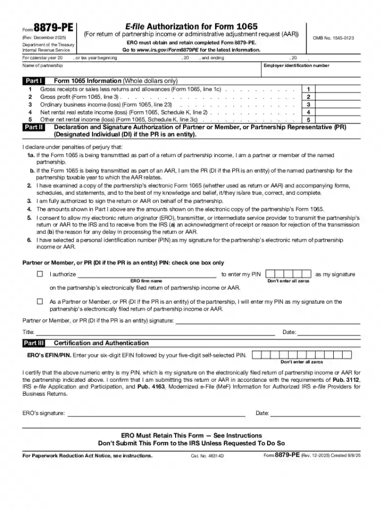 E-file Authorization for Form 1065 Preview on Page 1