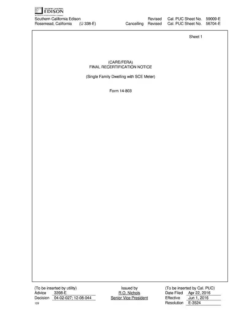 care program renewal application Preview on Page 1