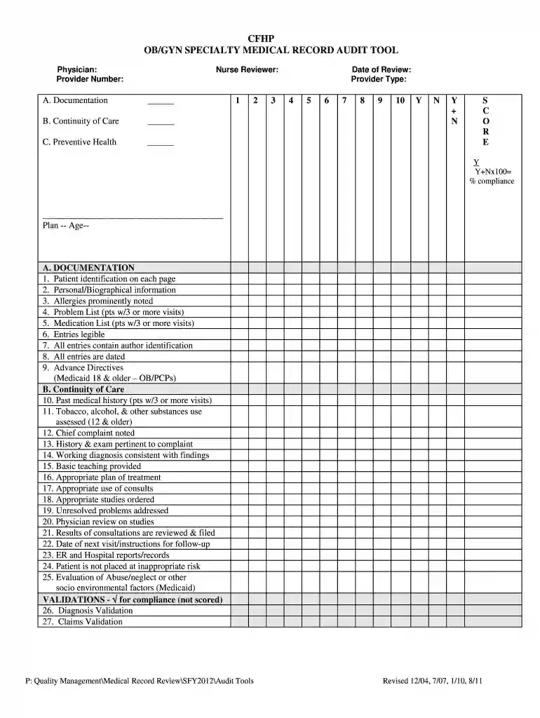 chart audit template Preview on Page 1