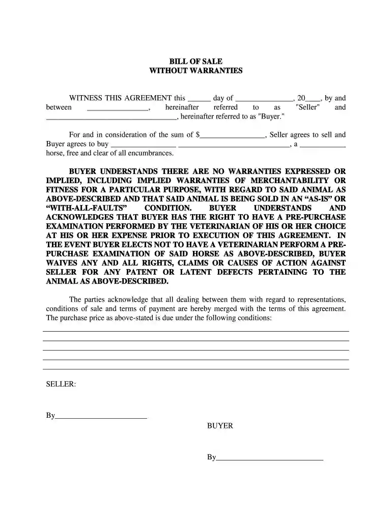 bill of sale no warranty Preview on Page 1