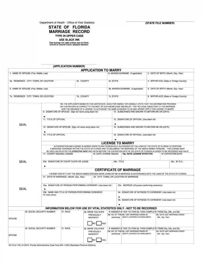 florida marriage license application pdf Preview on Page 1