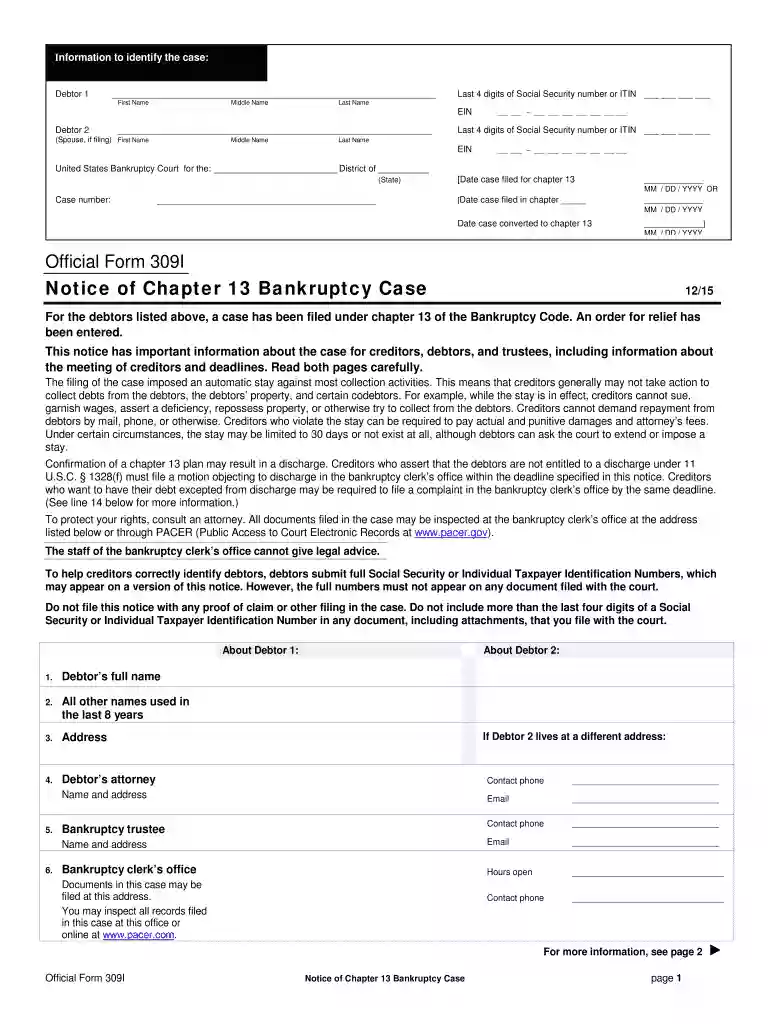official form 3091 Preview on Page 1