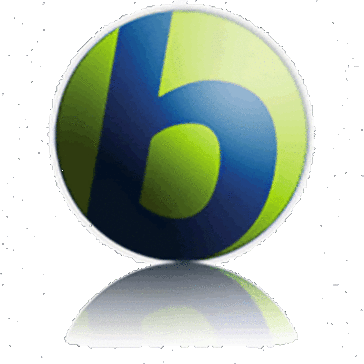 company logo
