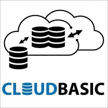 company logo