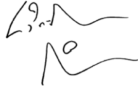 Signature example