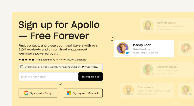 This image shows a landing page form.